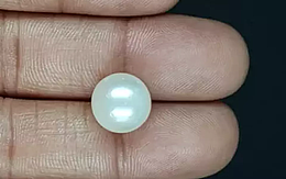 South Sea Pearl - 10.73 Carat Prime Quality  SSP-8850