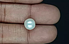 South Sea Pearl - 5.22 Carat Prime Quality  SSP-8851