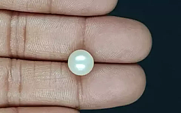 South Sea Pearl - 5.31 Carat Prime Quality  SSP-8852