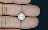 South Sea Pearl - 5.31 Carat Prime Quality  SSP-8852