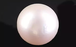 South Sea Pearl - 10.91 Carat Prime Quality  SSP-8854