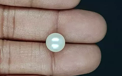 South Sea Pearl - 5.53 Carat Prime Quality  SSP-8856