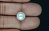 South Sea Pearl - 7.99 Carat Prime Quality  SSP-8857