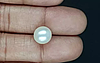 South Sea Pearl - 7.57 Carat Prime Quality  SSP-8858