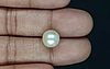 South Sea Pearl - 7.13 Carat Prime Quality  SSP-8859