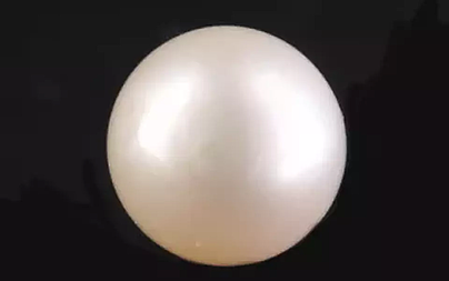 South Sea Pearl - 7.19 Carat Prime Quality  SSP-8864