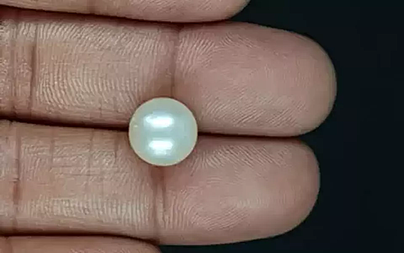 South Sea Pearl - 7.19 Carat Prime Quality  SSP-8864