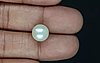 South Sea Pearl - 7.19 Carat Prime Quality  SSP-8864