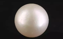 South Sea Pearl - 7.22 Carat Prime Quality  SSP-8865