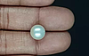 South Sea Pearl - 7.22 Carat Prime Quality  SSP-8865