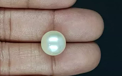 South Sea Pearl - 11.93 Carat Prime Quality  SSP-8869