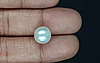 South Sea Pearl - 7.88 Carat Prime Quality  SSP-8871