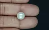 South Sea Pearl - 6.47 Carat Prime Quality  SSP-8873