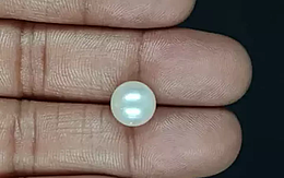 South Sea Pearl - 6.61 Carat Prime Quality  SSP-8875