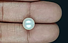 South Sea Pearl - 5.25 Carat Prime Quality  SSP-8878