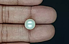 South Sea Pearl - 6.41 Carat Prime Quality  SSP-8879