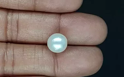 South Sea Pearl - 6.60 Carat Prime Quality  SSP-8882