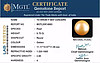 South Sea Pearl - 9.75 Carat Prime Quality  SSP-8883