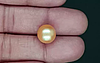 South Sea Pearl - 9.75 Carat Prime Quality  SSP-8883