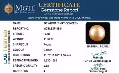 South Sea Pearl - 11.54 Carat Prime Quality  SSP-8884