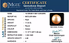 South Sea Pearl - 11.54 Carat Prime Quality  SSP-8884