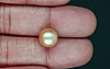 South Sea Pearl - 6.75 Carat Prime Quality  SSP-8885