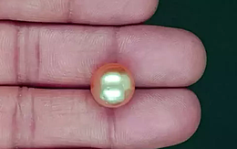 South Sea Pearl - 11.58 Carat Prime Quality  SSP-8888