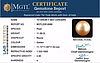 South Sea Pearl - 11.58 Carat Prime Quality  SSP-8888