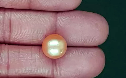 South Sea Pearl - 10.10 Carat Prime Quality  SSP-8889