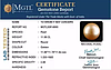 South Sea Pearl - 11.96 Carat Prime Quality  SSP-8890