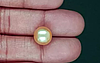 South Sea Pearl - 9.14 Carat Prime Quality  SSP-8891