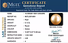 South Sea Pearl - 9.14 Carat Prime Quality  SSP-8891