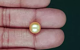 South Sea Pearl - 5.41 Carat Prime Quality  SSP-8892