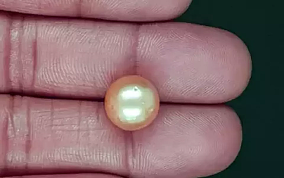 South Sea Pearl - 10.25 Carat Prime Quality  SSP-8894