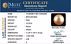 South Sea Pearl - 10.25 Carat Prime Quality  SSP-8894