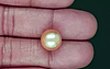 South Sea Pearl - 10.25 Carat Prime Quality  SSP-8894