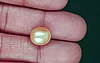 South Sea Pearl - 8.03 Carat Prime Quality  SSP-8898