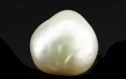 Japanese Keshi Pearl - 5.71 Carat Prime Quality  SSP-8899