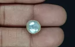 Japanese Keshi Pearl - 5.54 Carat Prime Quality  SSP-8900