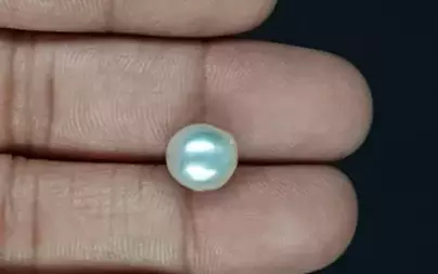 Japanese Keshi Pearl - 5.88 Carat Prime Quality  SSP-8902