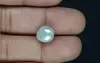 Japanese Keshi Pearl - 5.75 Carat Prime Quality  SSP-8904