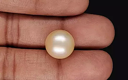 Keshi Pearl - 15.68 Carat Limited Quality  SSP-8914