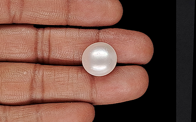 Keshi Pearl - 15.28 Carat Limited Quality  SSP-8916