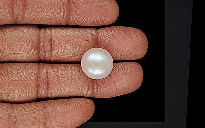 Keshi Pearl - 15.51 Carat Limited Quality  SSP-8917