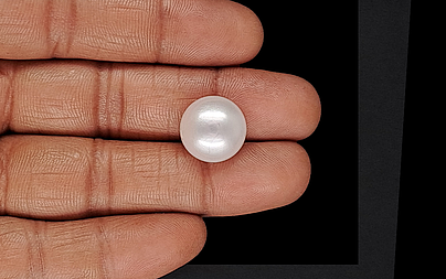 Keshi Pearl - 14.56 Carat Limited Quality  SSP-8920