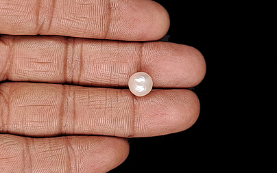 Keshi Pearl - 4.00 Carat Limited Quality SSP-8923