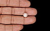 Keshi Pearl - 4.00 Carat Limited Quality SSP-8923