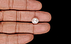 Keshi Pearl - 4.75 Carat Limited Quality SSP-8926