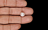 Keshi Pearl - 4.95 Carat Limited Quality SSP-8928