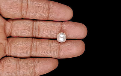 Venezuela Pearl - 5.05 Carat Limited Quality SSP-8929